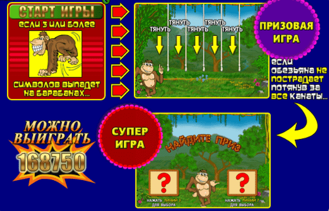 Описание бонуса в Обезьянках Бонус в автомате Обезьянки